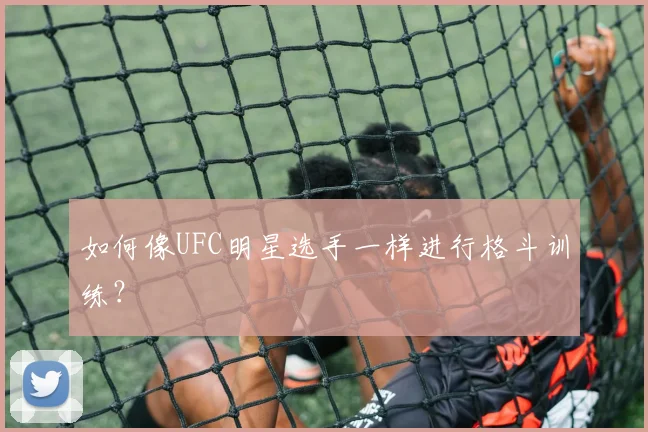如何像UFC明星选手一样进行格斗训练？