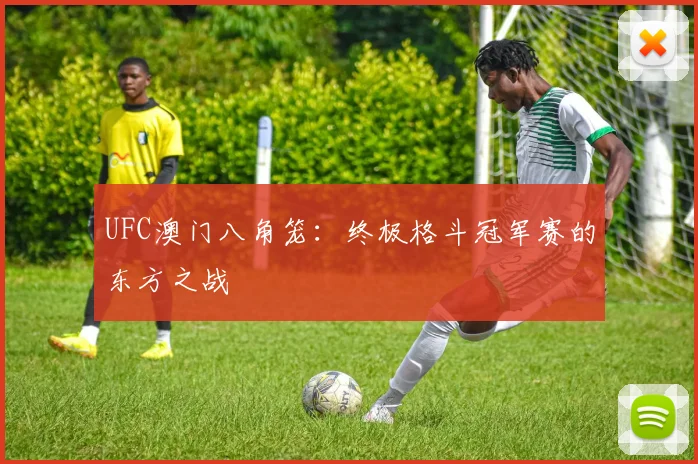 UFC澳门八角笼：终极格斗冠军赛的东方之战