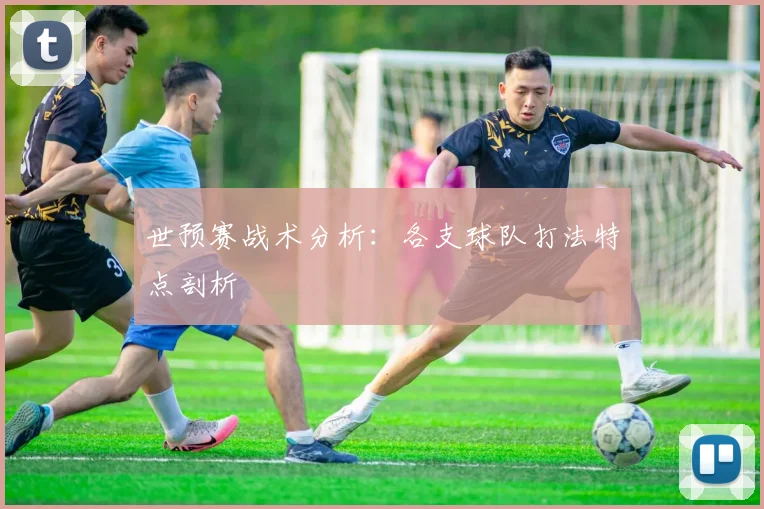 世预赛战术分析：各支球队打法特点剖析