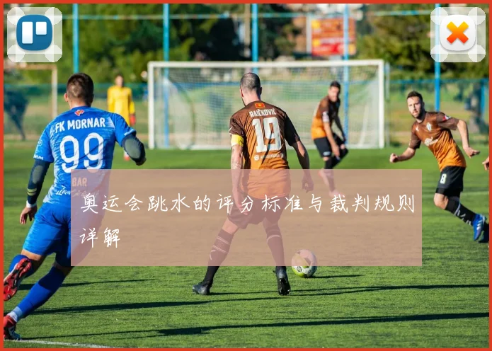 奥运会跳水的评分标准与裁判规则详解