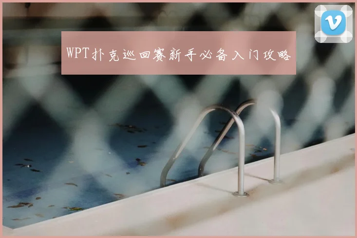 WPT扑克巡回赛新手必备入门攻略