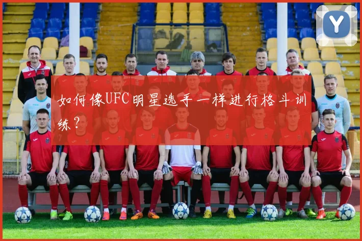 如何像UFC明星选手一样进行格斗训练？