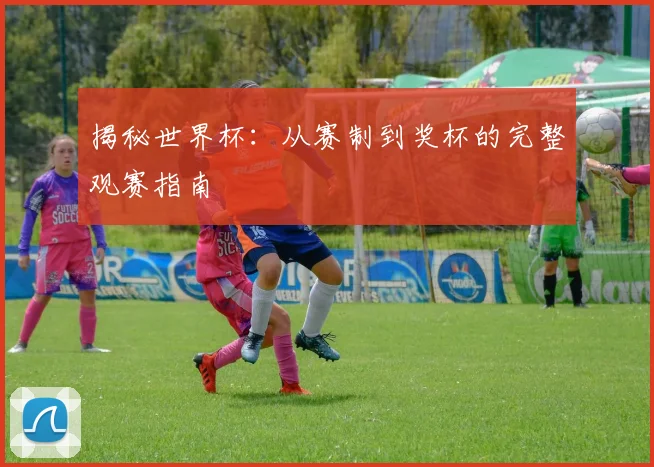 揭秘世界杯：从赛制到奖杯的完整观赛指南