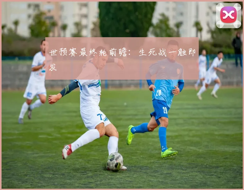 世预赛最终轮前瞻：生死战一触即发