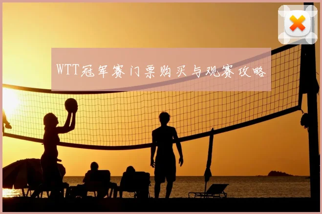 WTT冠军赛门票购买与观赛攻略